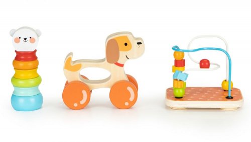 Σετ «τα Πρώτα μου Παιχνίδια» Ecotoys 2203